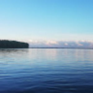 Meet your Posher, Saša